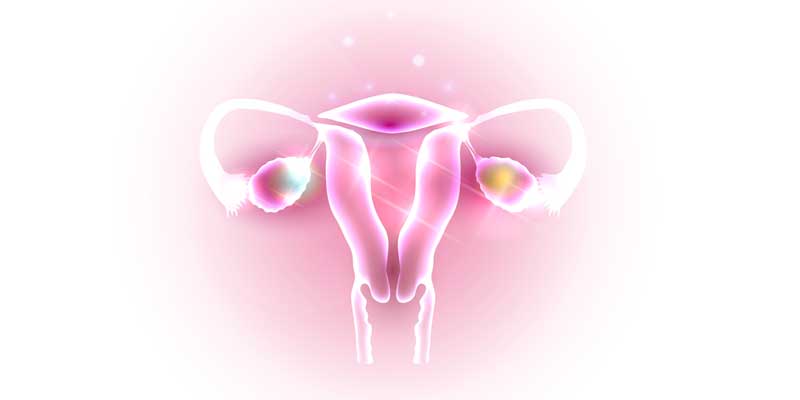 Homeopathy & Polycystic Ovarian Syndrome (PCOS)