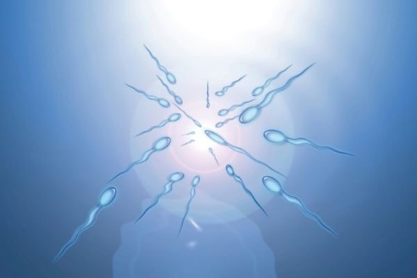 How to improve your sperm health to boost your fertility